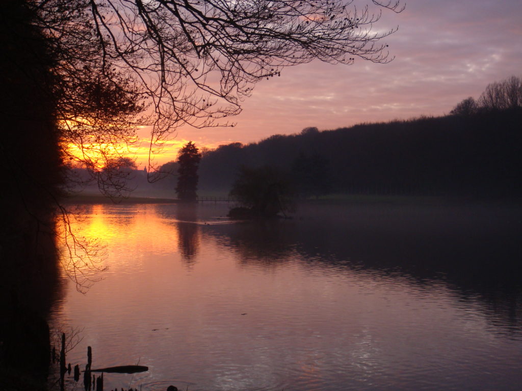 TheDogNanny-Dog-Walking-Cat-Sitting-Brussels-Parc-de-Tervuren-Coucher-de-Soleil